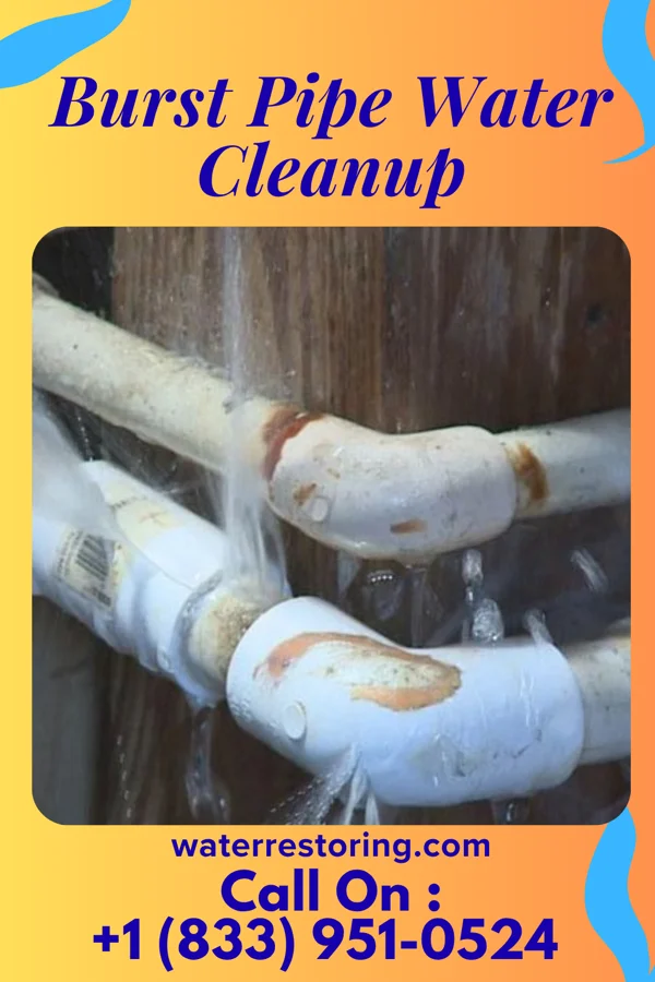 Burst Pipe Water Cleanup in Russell, KS